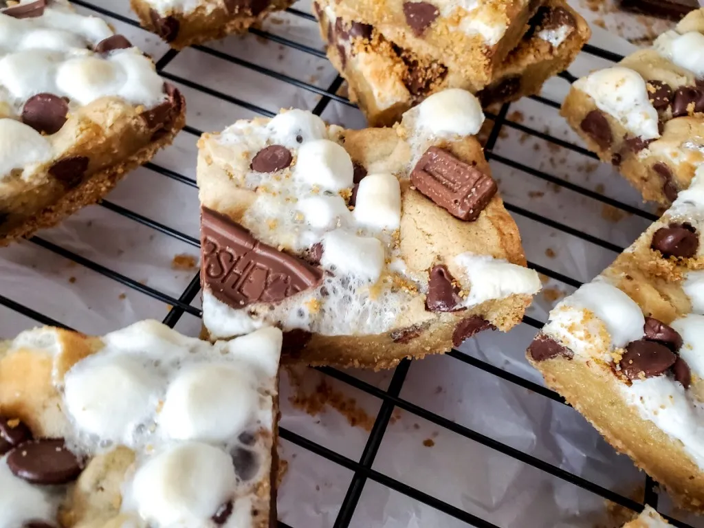 close up view of smores dessert