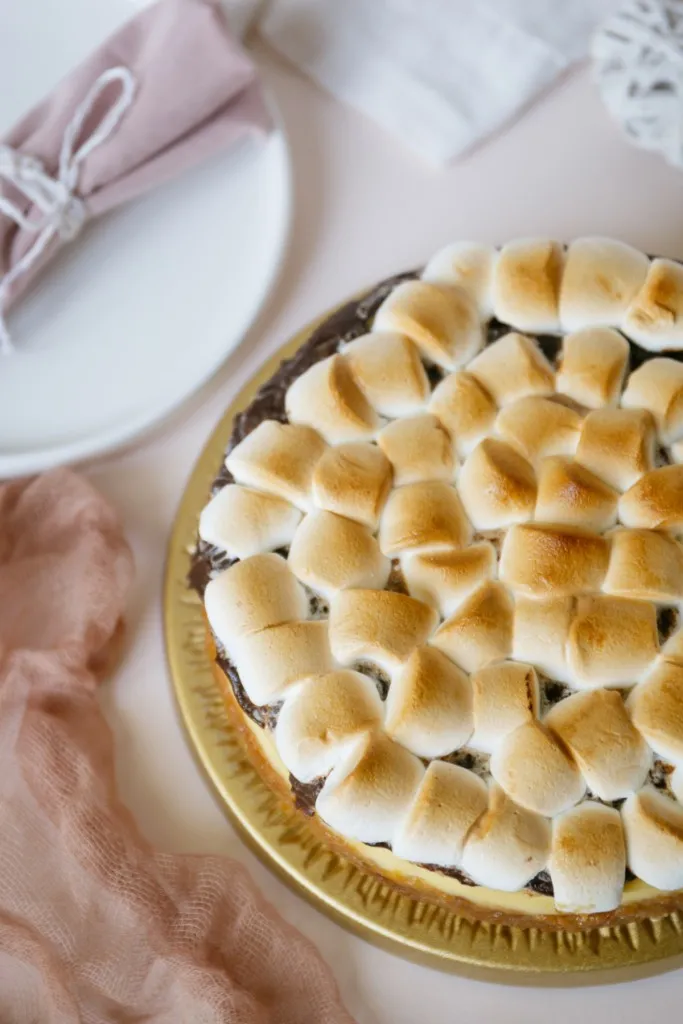 overhead shot of a s'mores cheesecake recipe