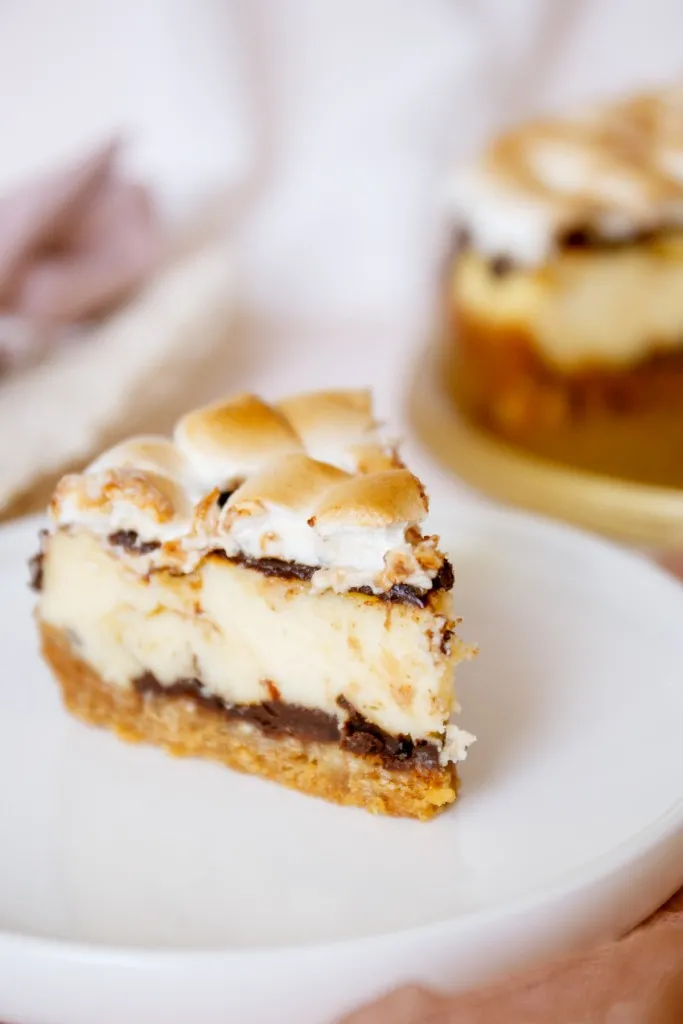 one slice of smores cheesecake ona white plate