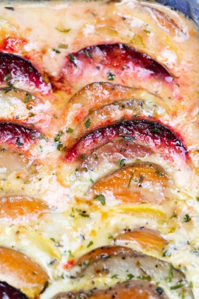 close view of creamy vegetable au gratin