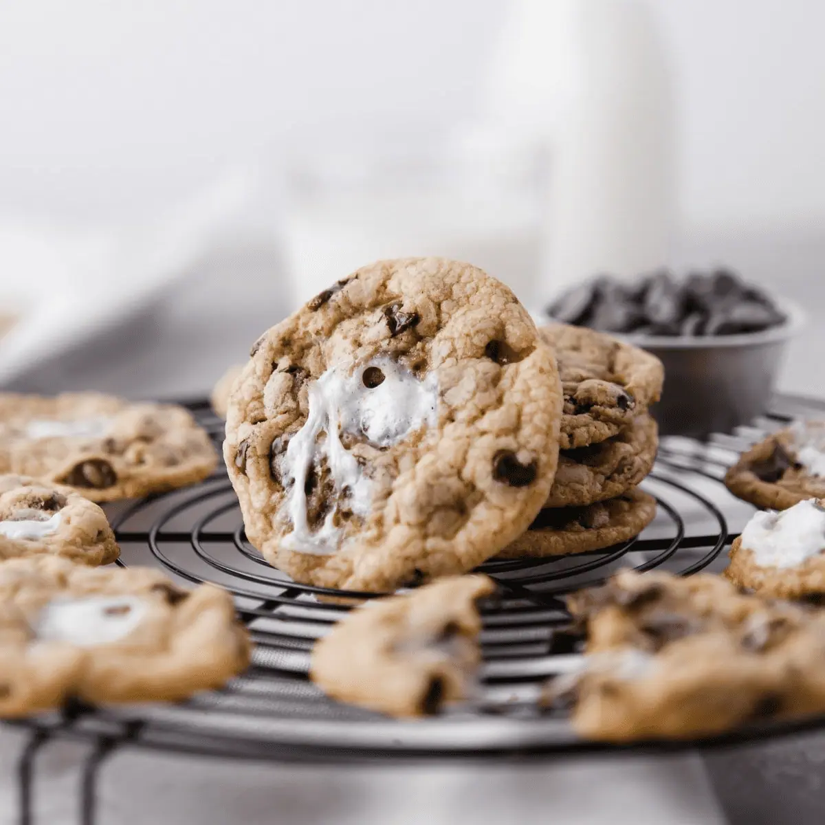 marshmallow chocolate chip cookie featured image