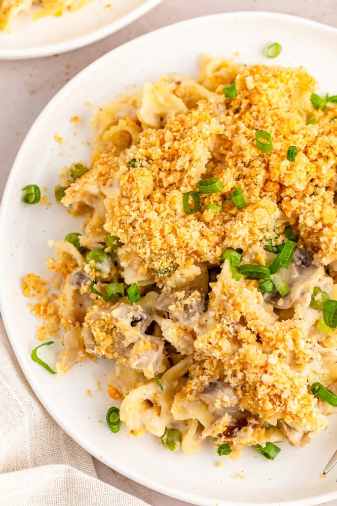 Close up of a white serving plate with tuna noodle casserole.