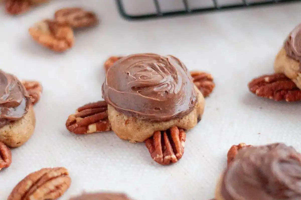 Turtle cookies.