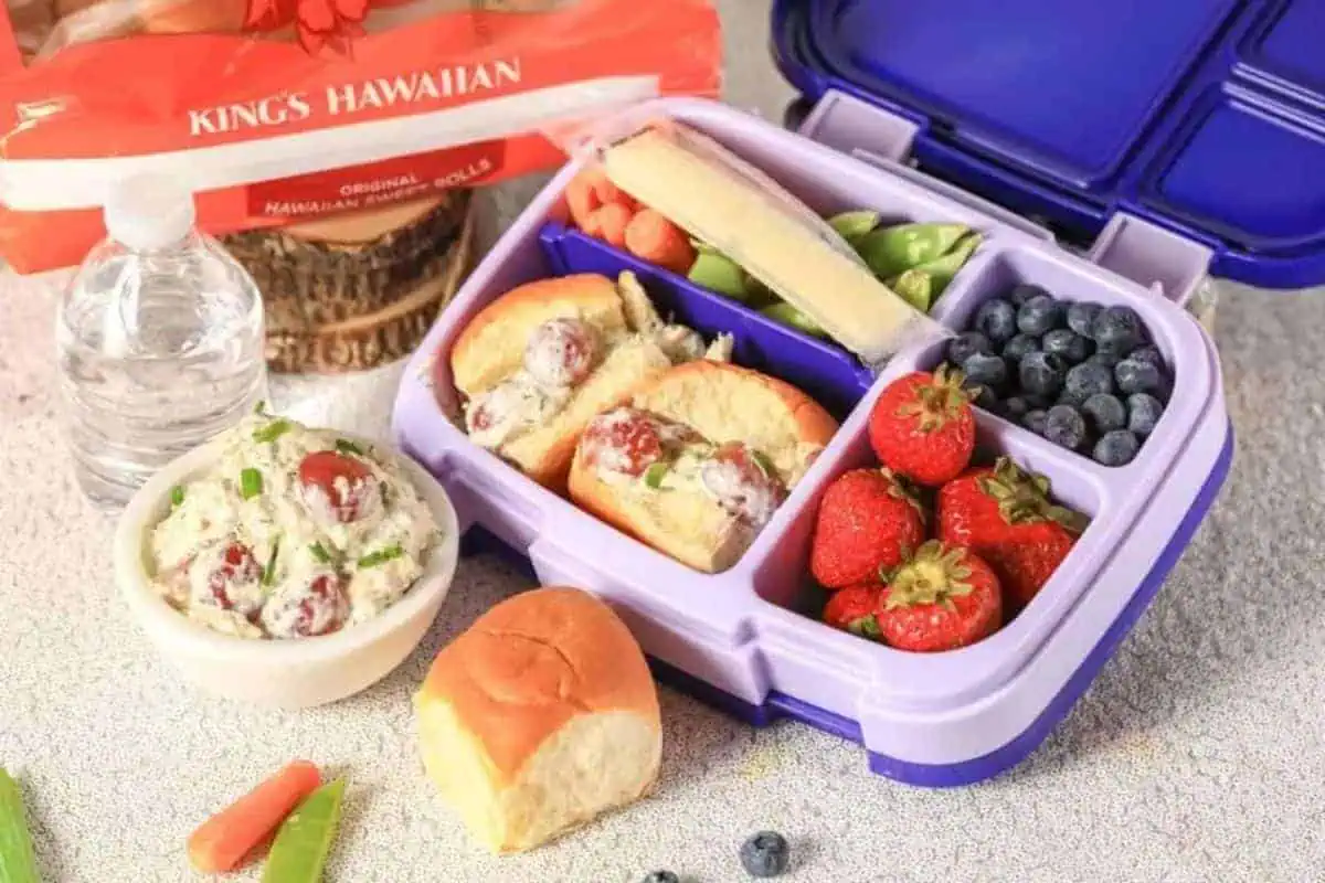 Chicken salad with grapes sandwich in a bento box with fruit