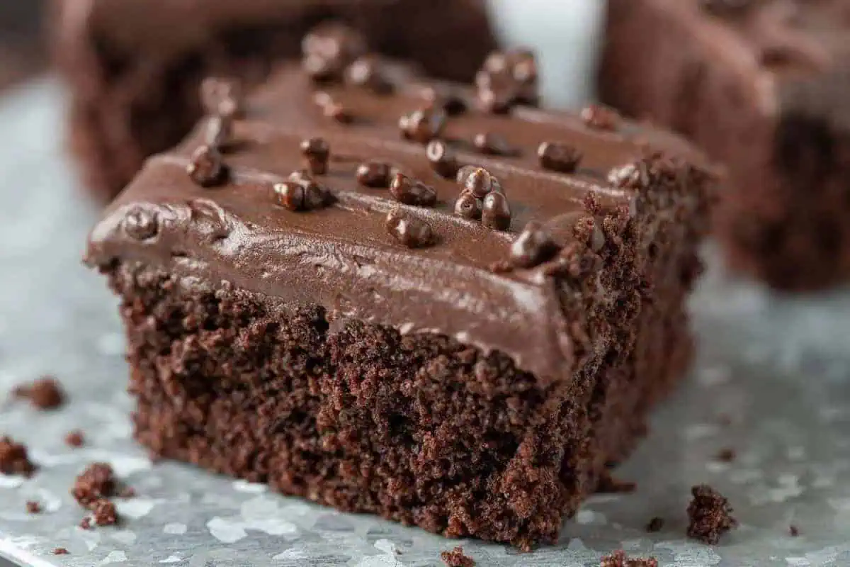 A slice of chocolate cake.