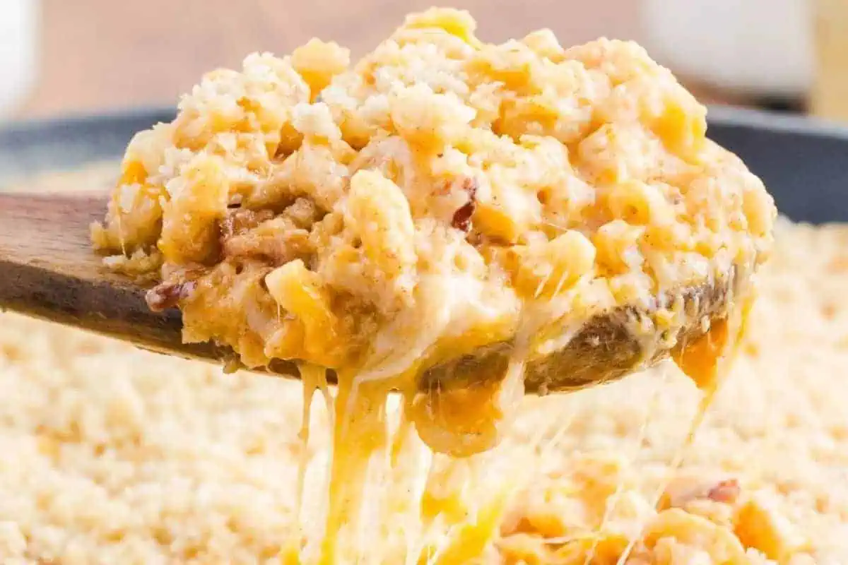 A spoonful of mac and cheese.