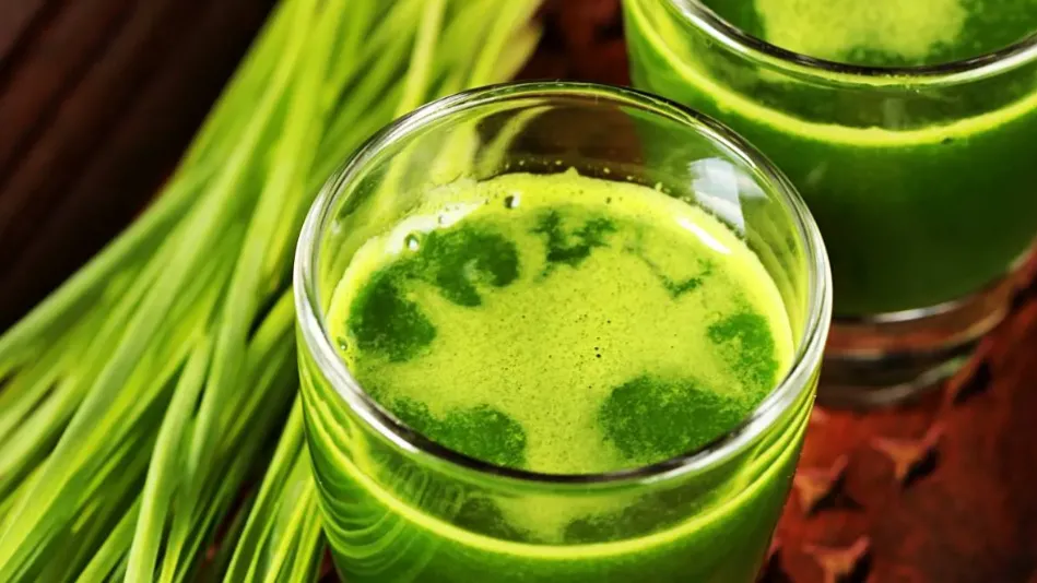 Wheatgrass Shots