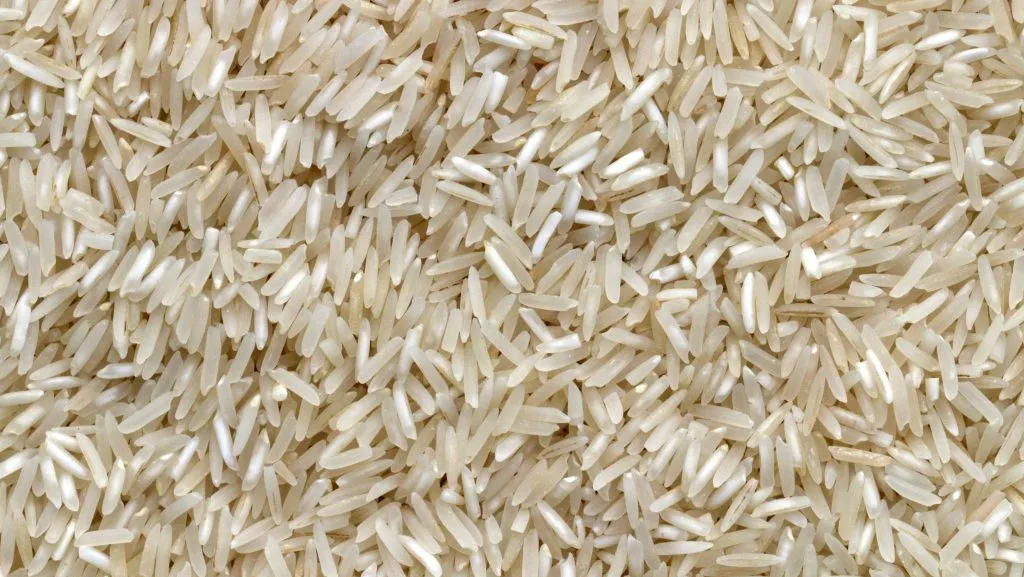 Rice