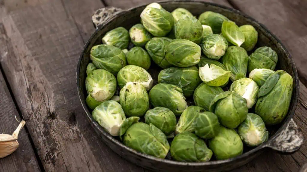 Charred Brussels Sprouts
