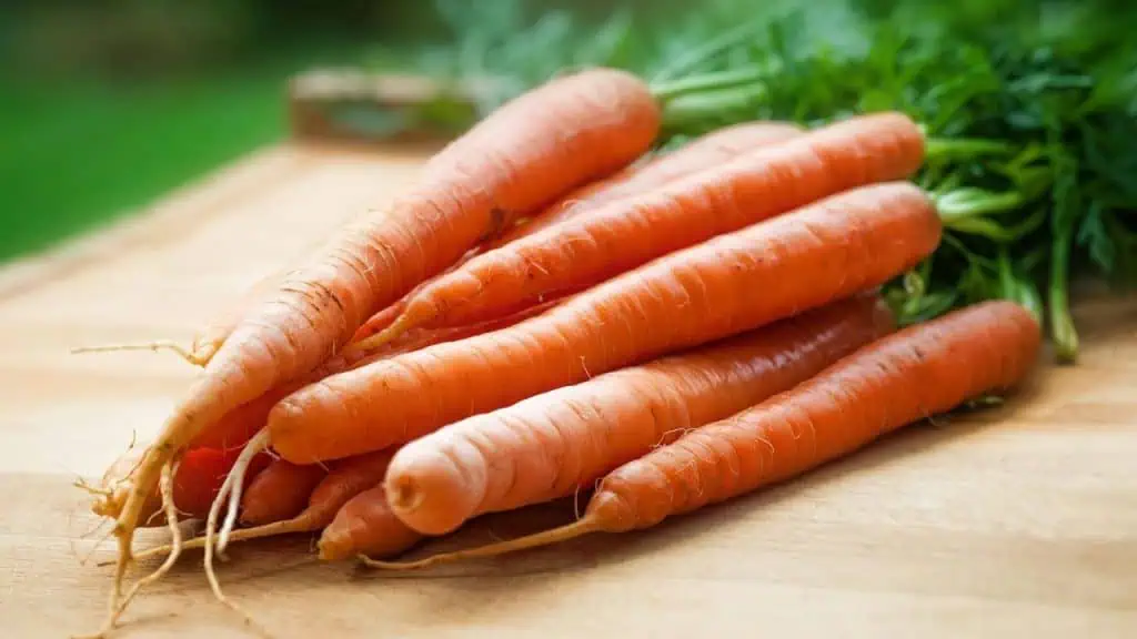 Carrots: The Vision Boosters