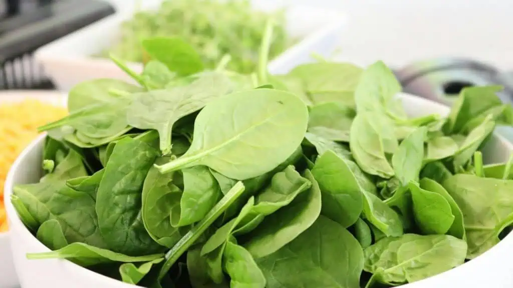 Spinach: Iron-Rich and Mighty