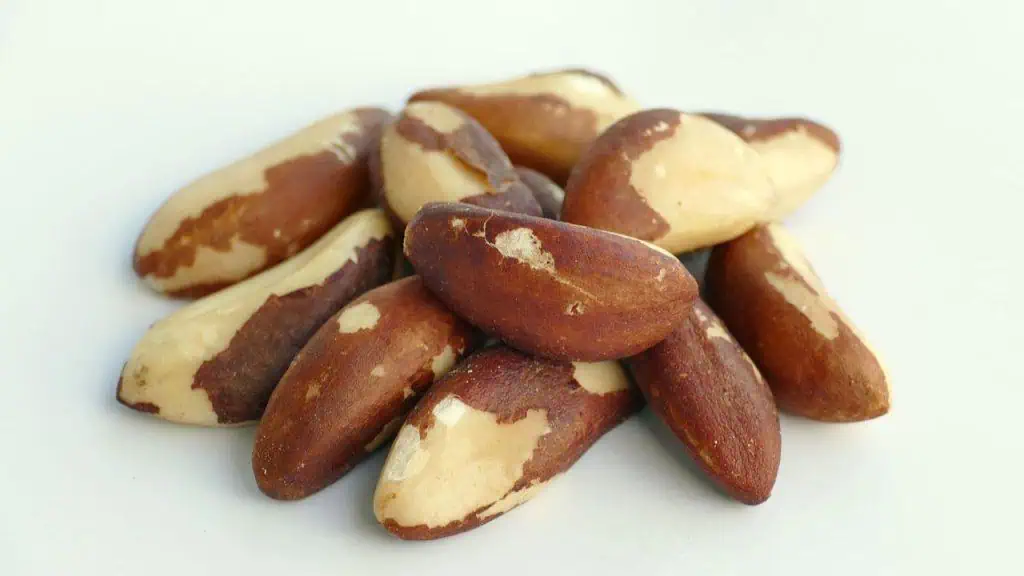 Brazil Nuts: Selenium Supremes