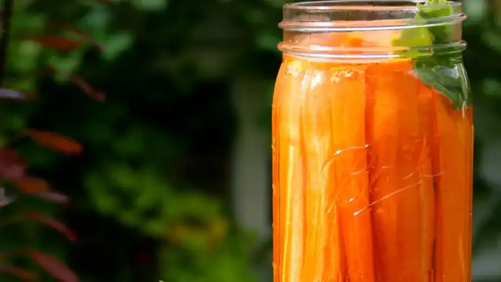 Fermented Carrots