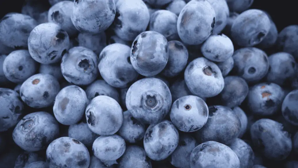 Blueberries