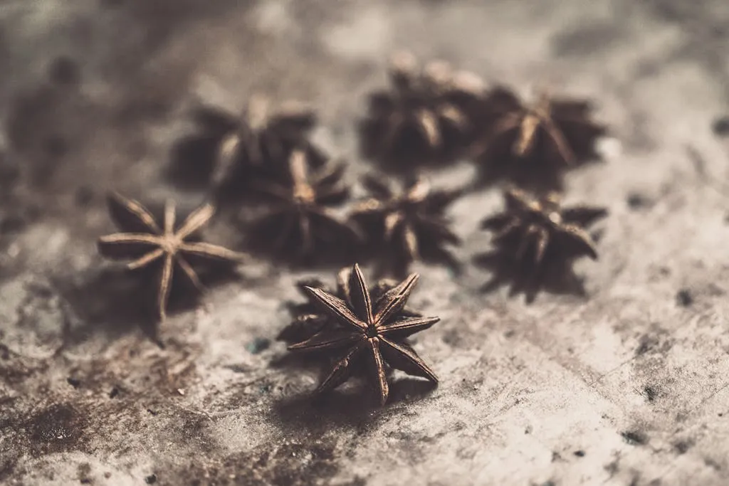 A detailed close-up of star anise spices on a textured, rustic surface with blurred depth of field.