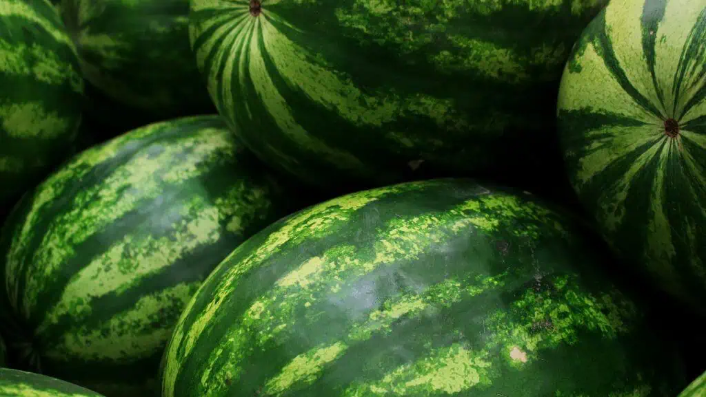 Watermelons