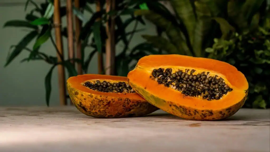 Papaya