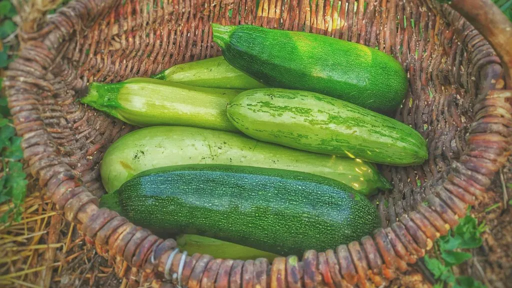 Zucchini