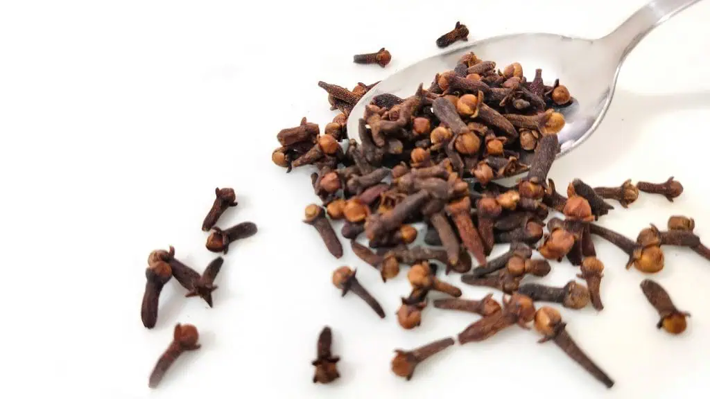 Cloves