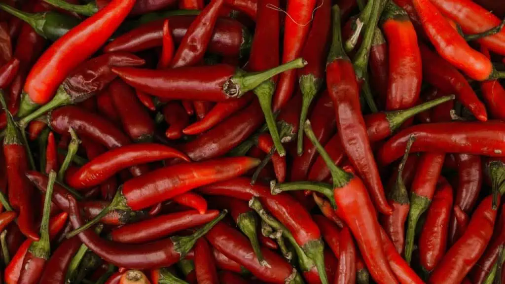 Cayenne: Turn Up the Heat on Pain