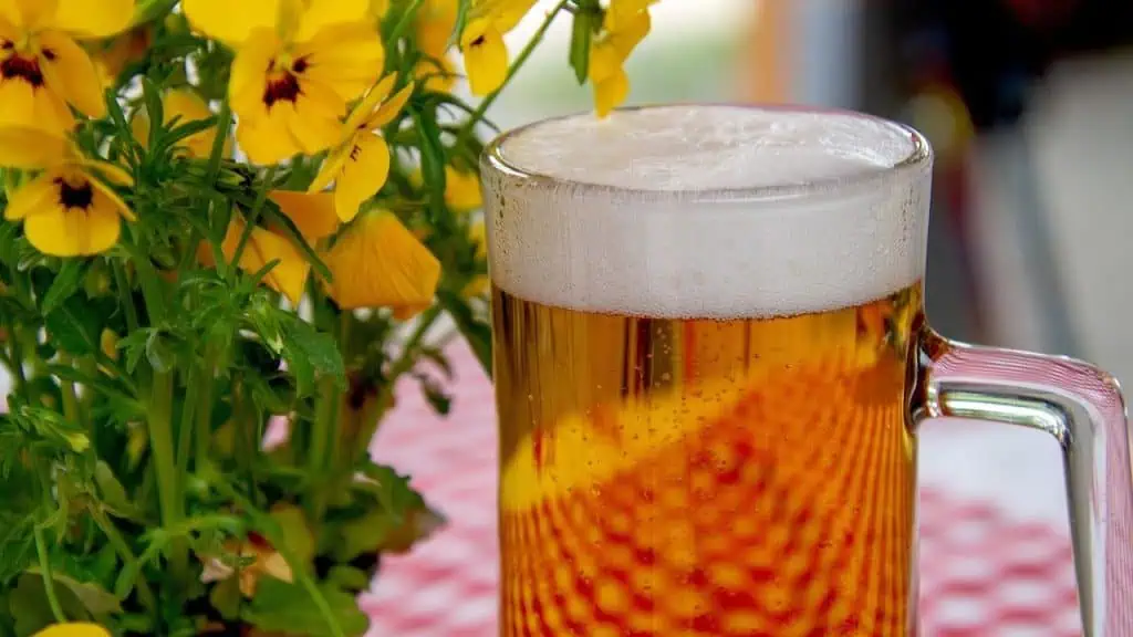 Unlocking the Mystery of Saison