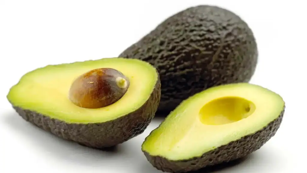Avocado
