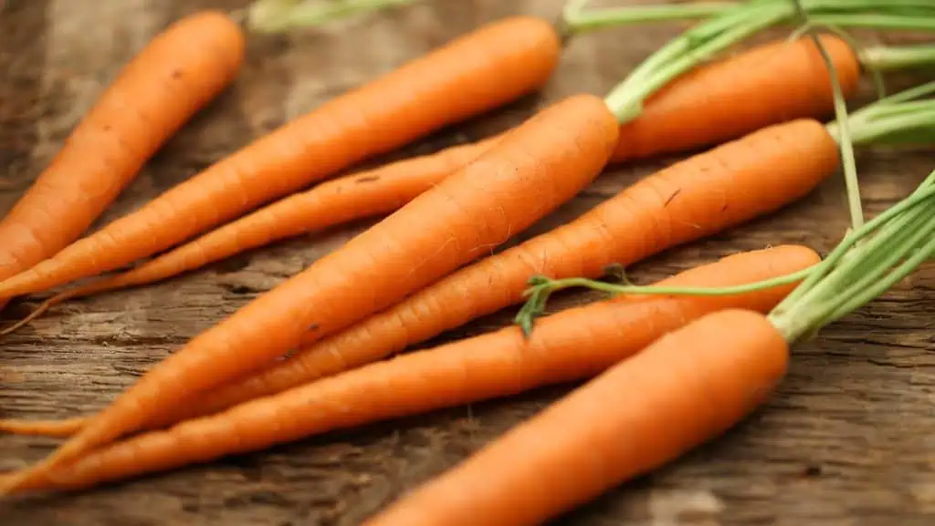 Carrots
