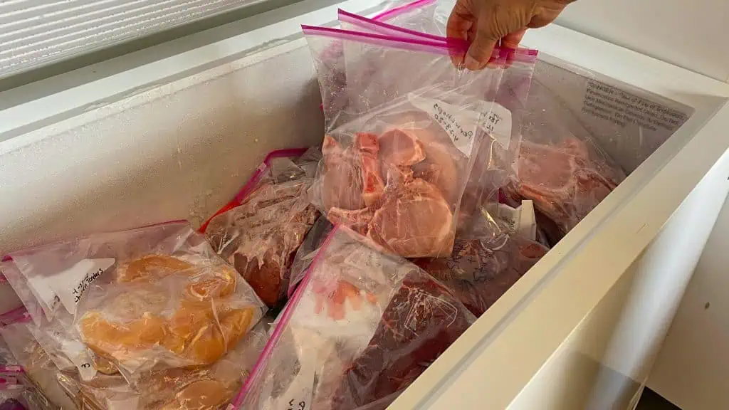 Neglecting Freezing Options