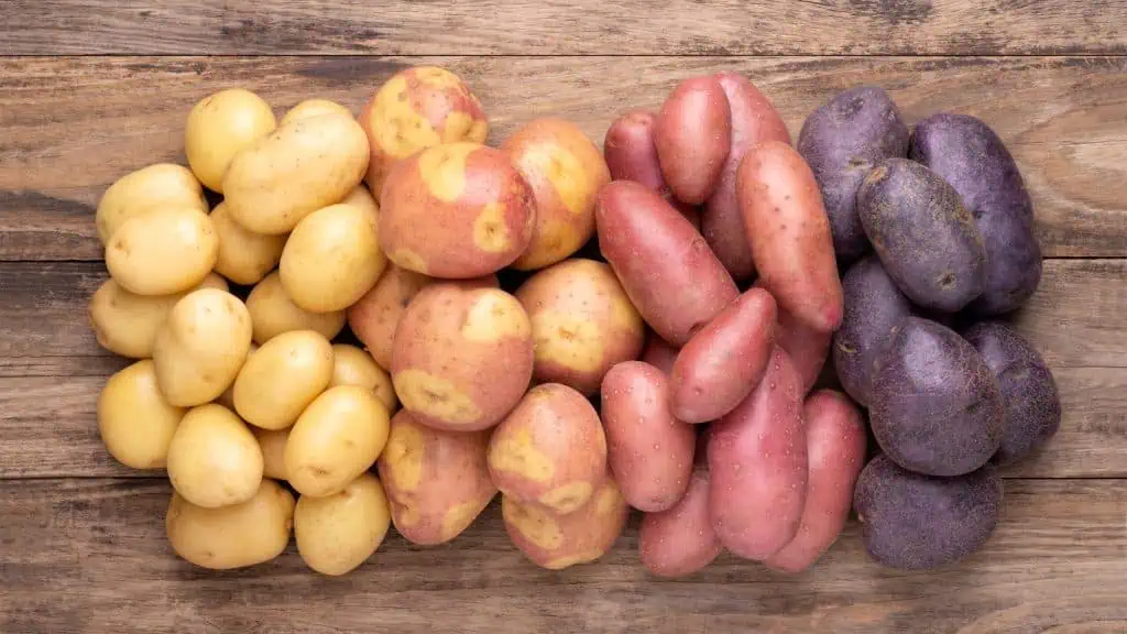 Idaho potatoes