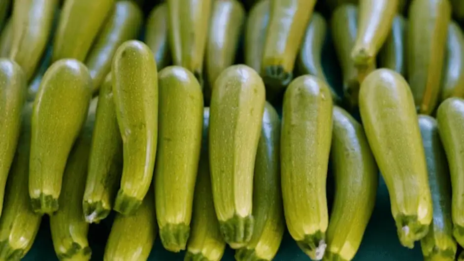 Zucchini