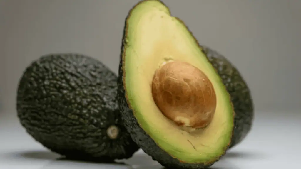 Avocado