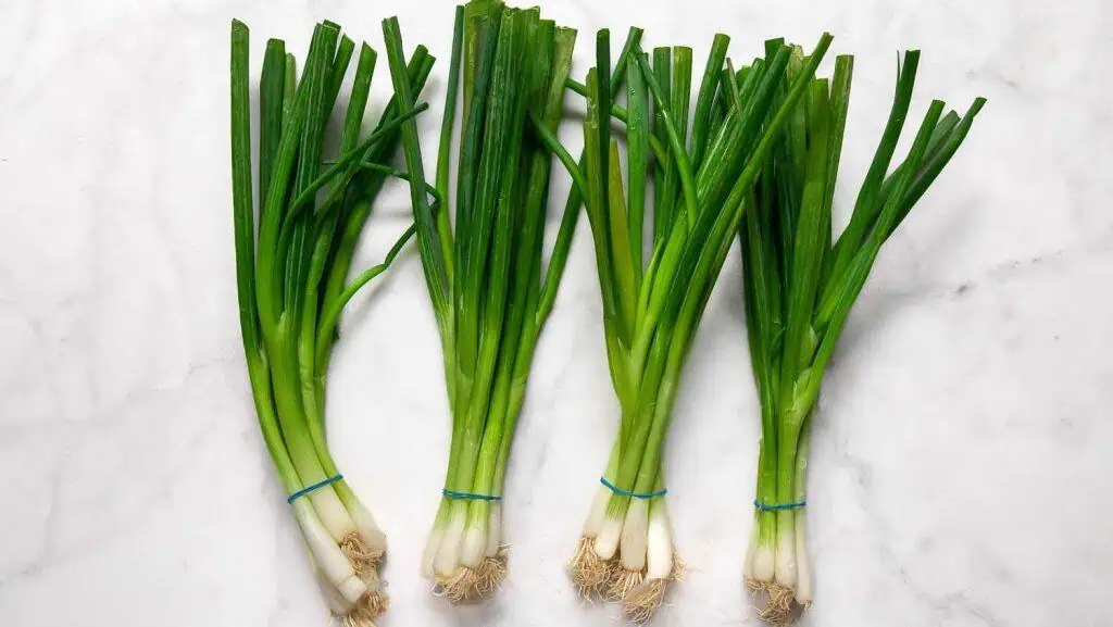 Green Onions