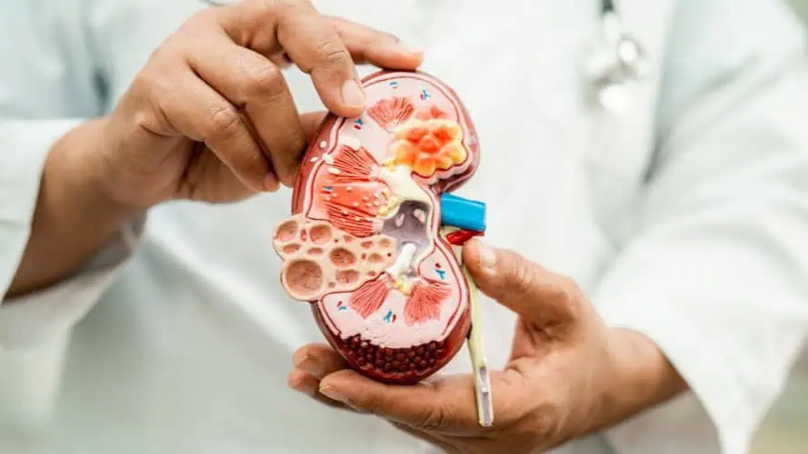 Dispelling Health Concerns