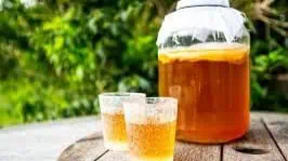 Kombucha