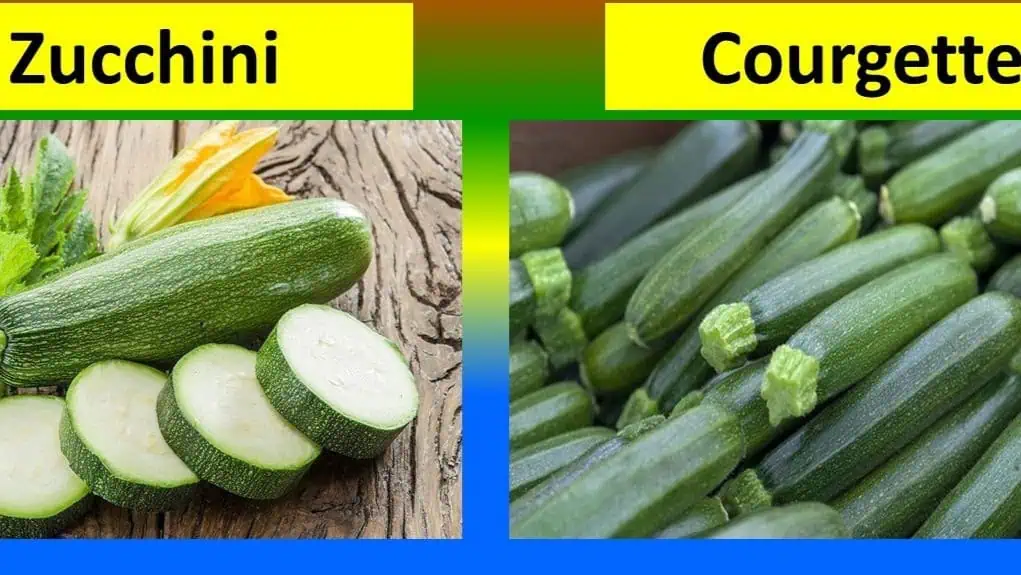 Zucchini vs. Courgette