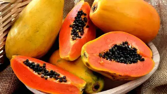 Papaya