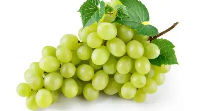Grapes
