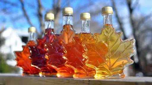 Maple Syrup