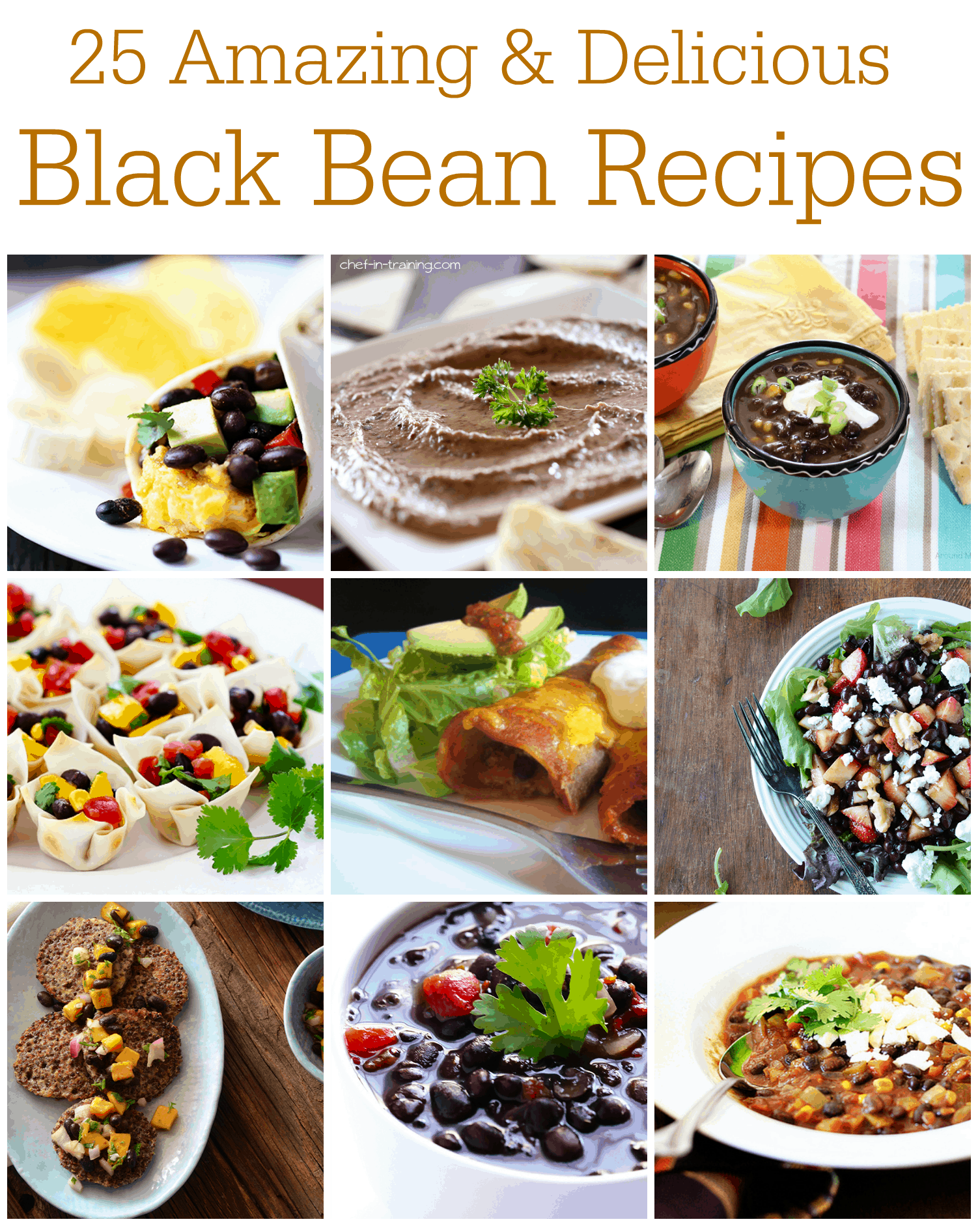 25 Amazing & Delicious Black Bean Recipes