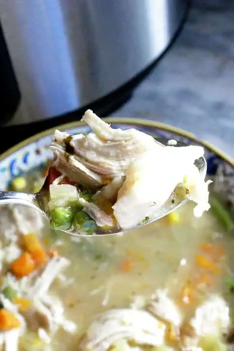 instant pot chicken and dumplings on a spoon