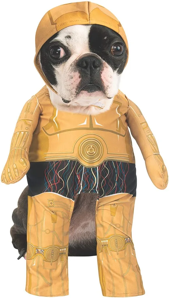  Star Wars: Yoda Halloween 2022 Pet Costume -Small -, Star Wars Halloween  Costumes for Dogs, Funny Dog Costumes