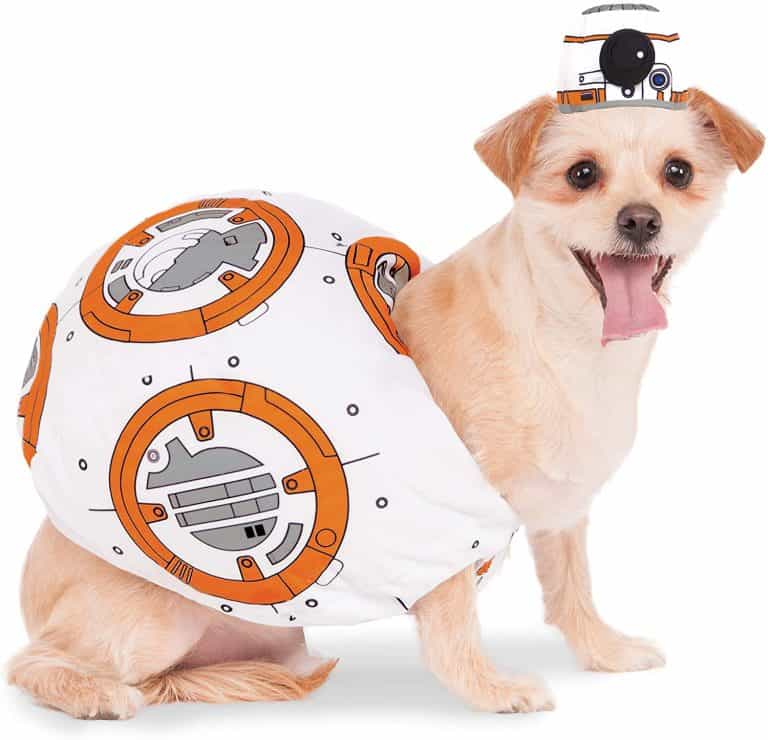 The Most Adorable Star Wars Dog Costumes