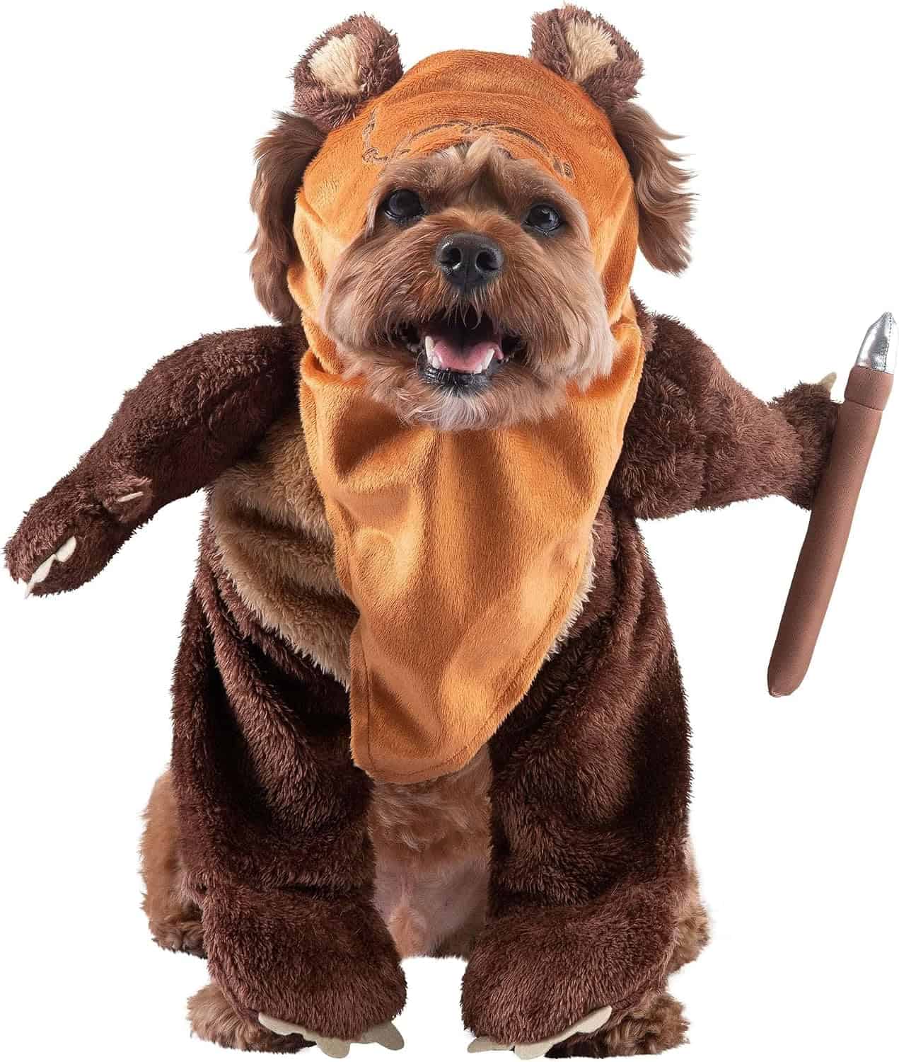 a dog dressed up as an ewok from star wars