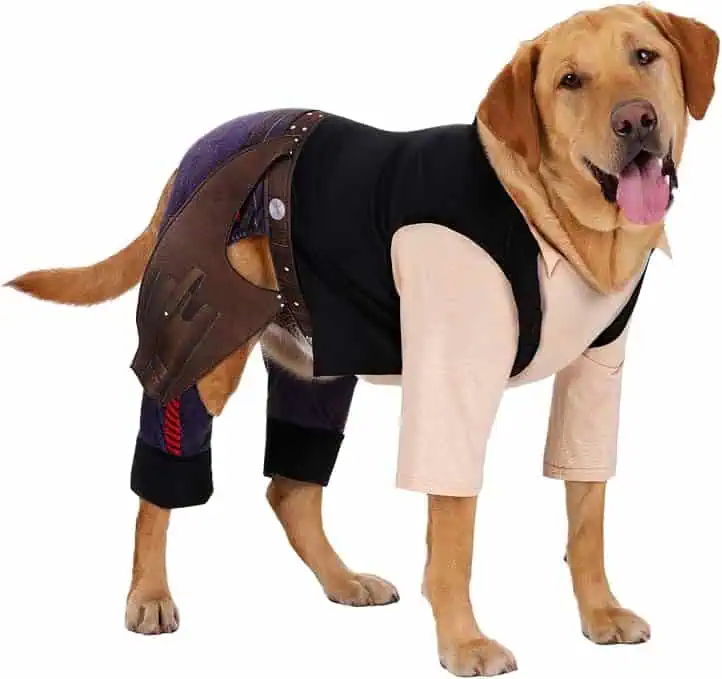 Hans Solo Star Wars Dog Costume on a Labrador