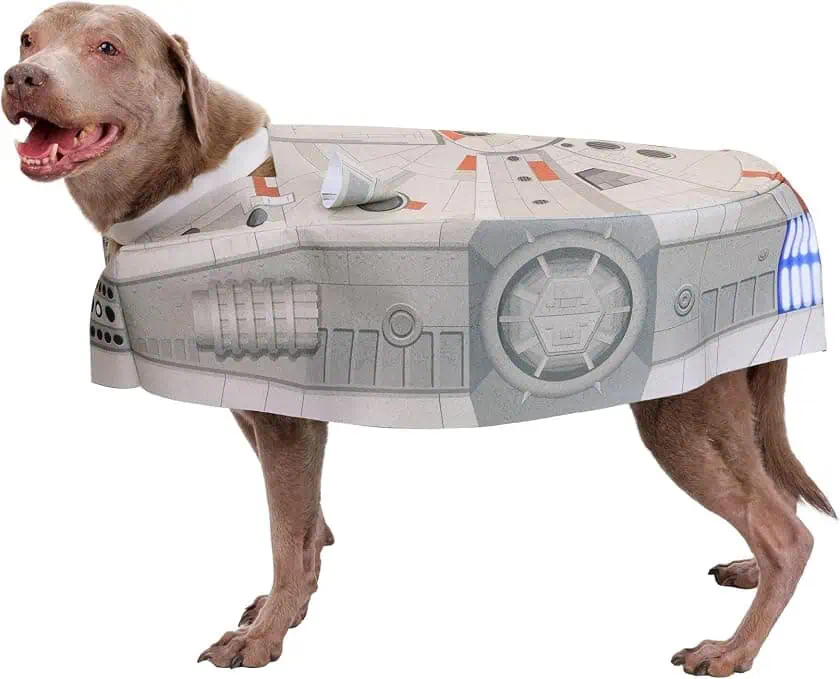 a dog in a star wars millenium falcon dog costume