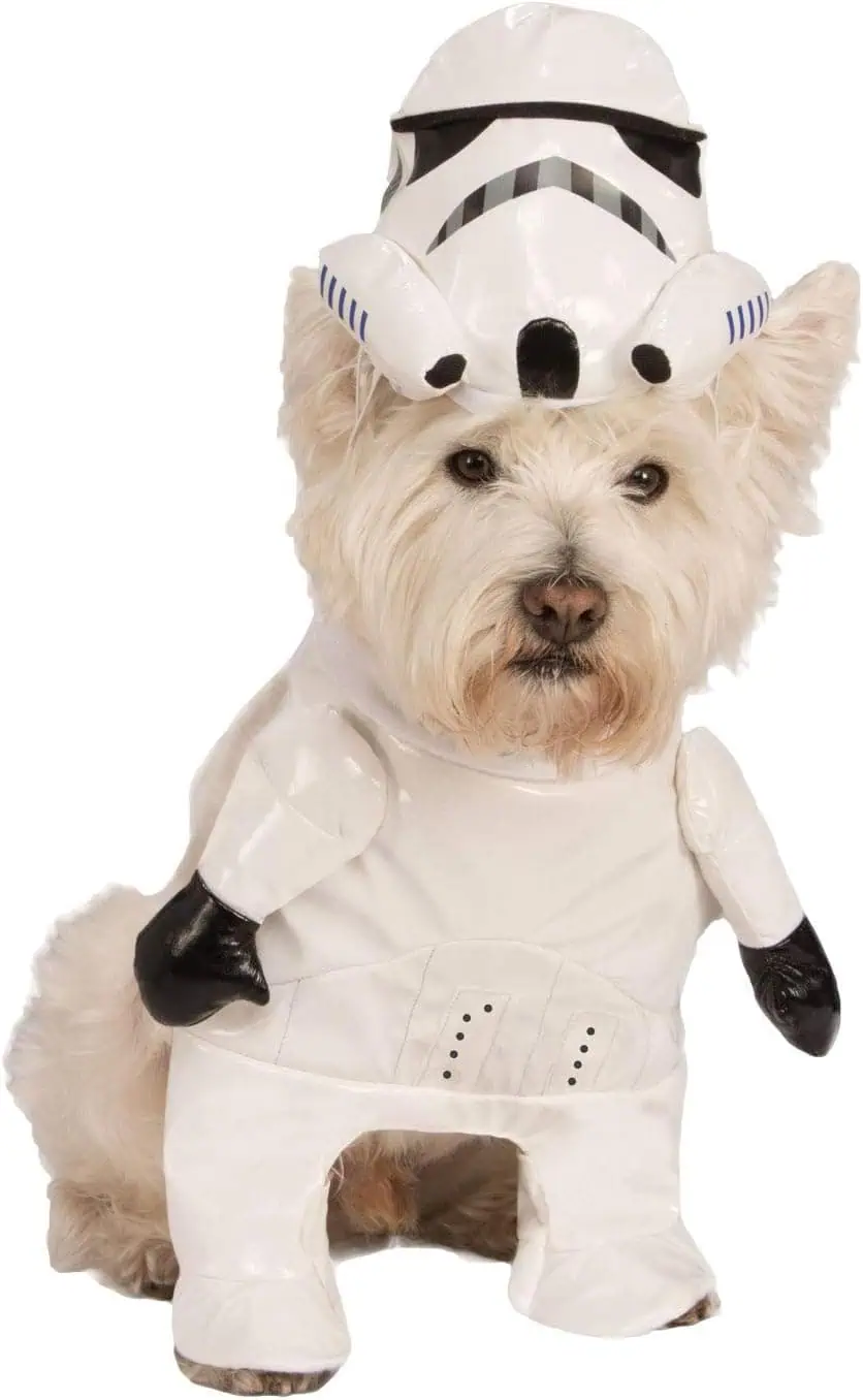 a dog dressed up in a Star Wars Storm Trooper dog costume