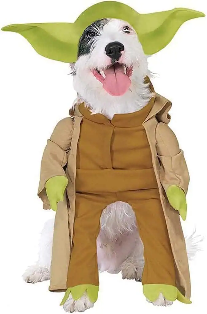 yoda star wars costume for dogs