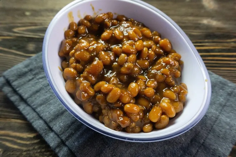 Instant Pot Pork and Beans