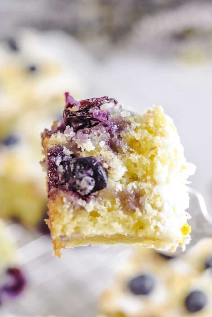 Fresh and easy blueberry lemon cake side view