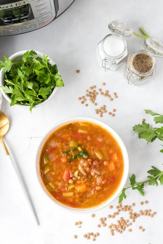 overhead photo view of lentil soup with fresh vegetables on a white background in a white bowl with fresh parsley scattered